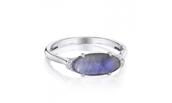 Tacori Sterling Silver Horizon Shine Diamond and Gemstone Men's Ring - SR22346