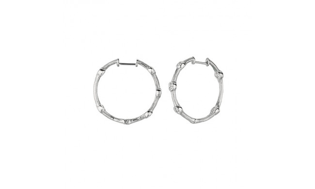 Jewelmi Custom 14k White Gold Diamond Hoop Earrings