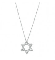 Jewelmi Custom 14k White Gold Diamond Necklace