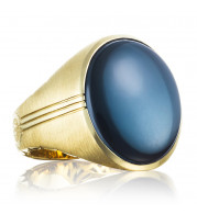 Tacori 18k Yellow Gold Legend Gemstone Men's Ring - MR104Y37