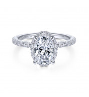 Gabriel & Co. 14k White Gold Contemporary Halo Engagement Ring - ER14962O6W44JJ