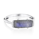 Tacori Sterling Silver Horizon Shine Diamond and Gemstone Men's Ring - SR22446 photo